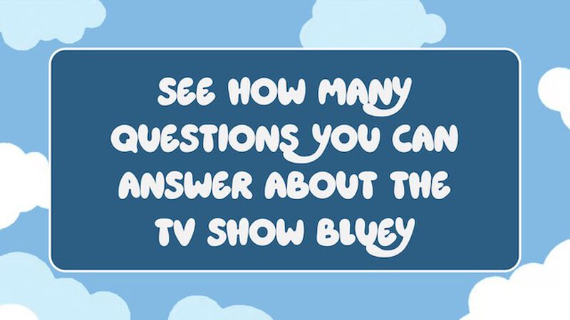 Paw-some Quiz